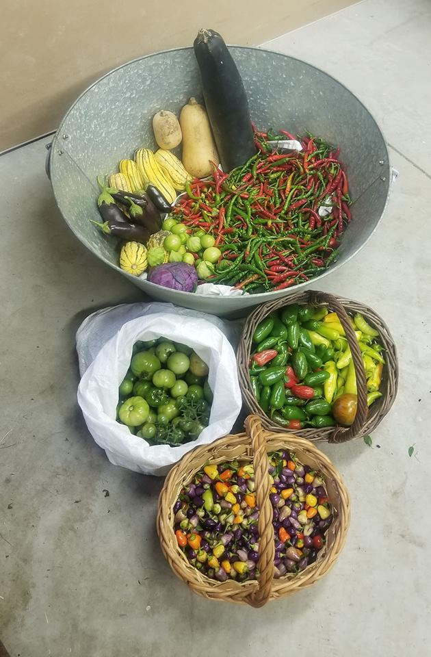 peppers, tomatoes, zuccini, squash, jalepenos, assorted vegetables grown at Cricket Meadows Farm