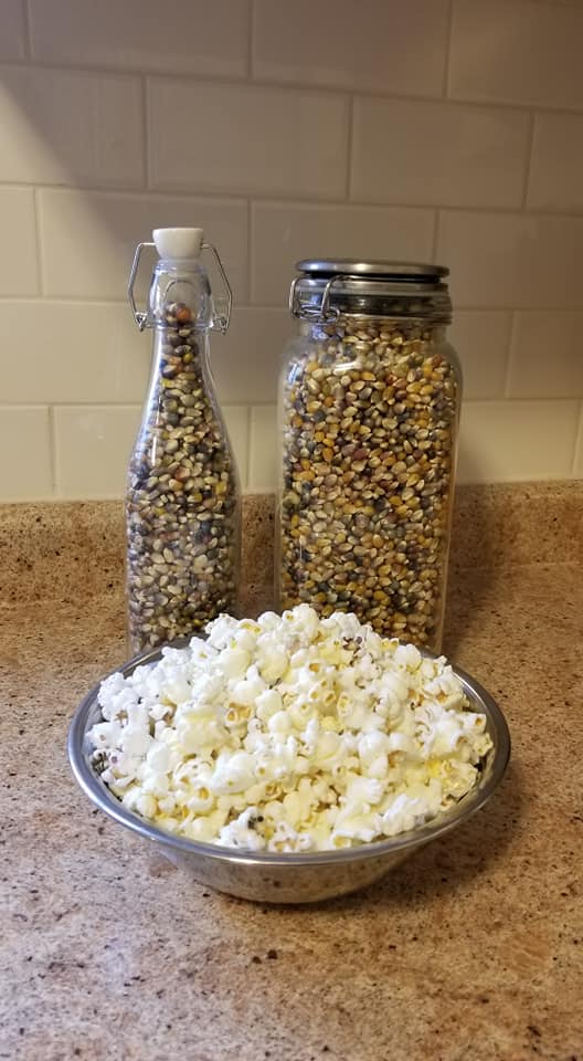 jarred corn kernals and a bowl of popcorn made from corn grown at Cricket Meadows Farm