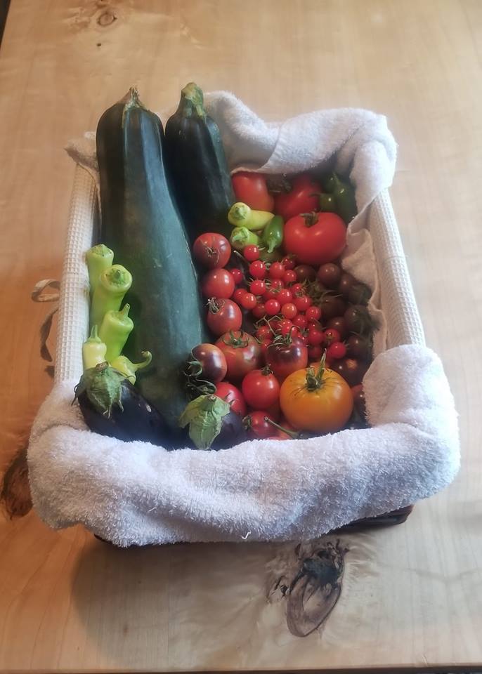 mini tomatoes, zuccini, peppers, assorted vegatables grown at Cricket Meadows Farm