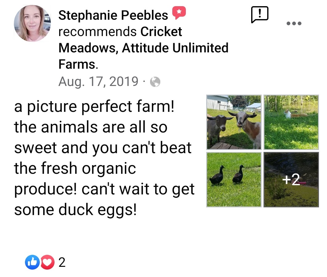 review: A picture perfect farm! the animals are all so sweet and you can't beat the fresh organic produce! can't wait to get some duck eggs! dated Aug 17, 2019 by Stephanie Peebles