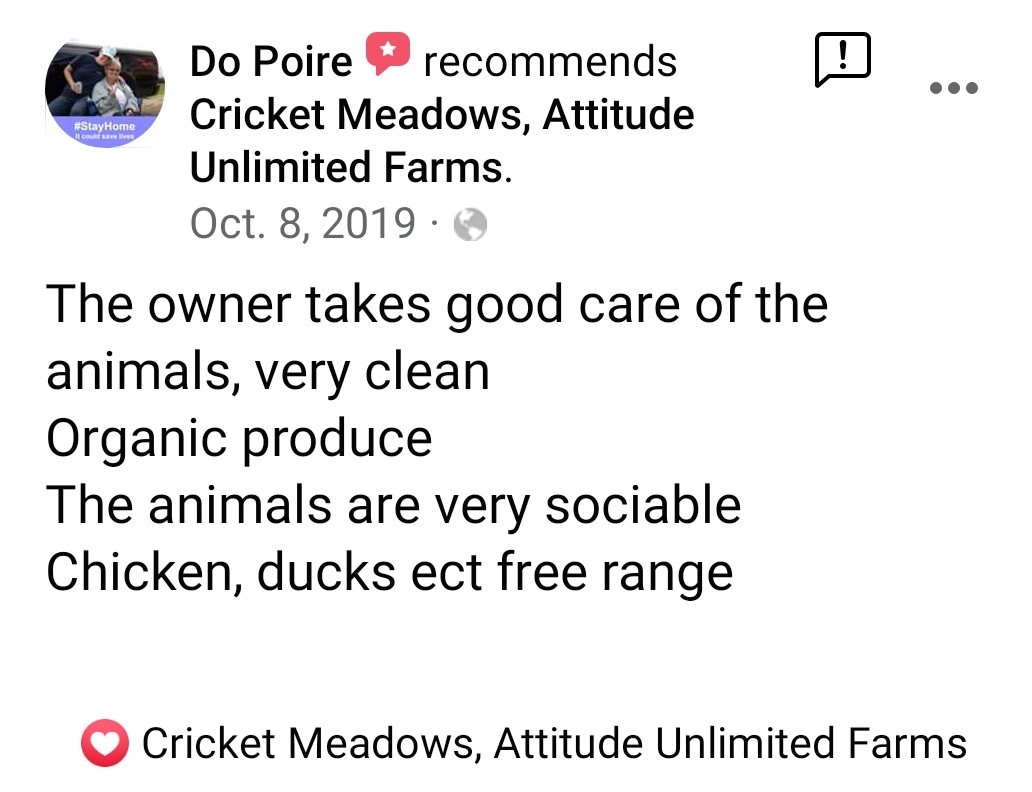 review: the owner takes good care of the animals, very clean, organic produce. The animals are very sociable. Chicken, ducks etc free range. dated Oct 9, 2019 by Do Poire